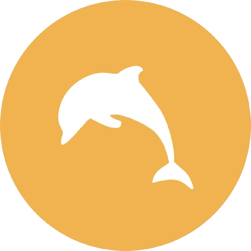 KAYAK SAFARI